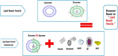 The viewpoint of nanolipid vesicles (liposomes, exosomes, and microvesicles) as biosensors in medical health advances